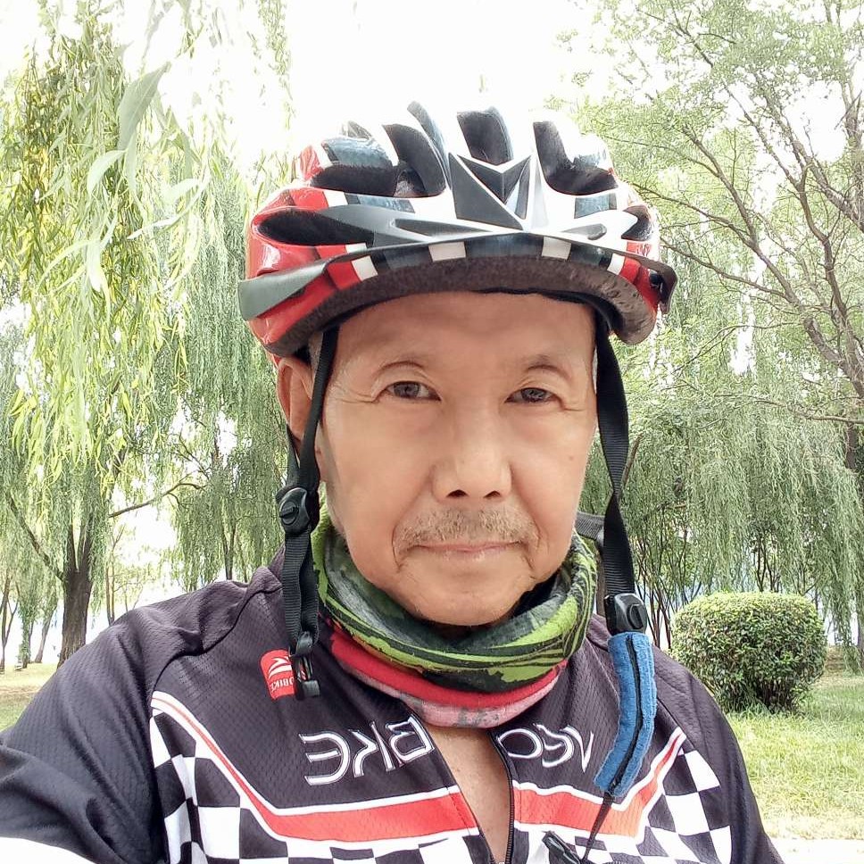 真淳笑蛋挞的照片