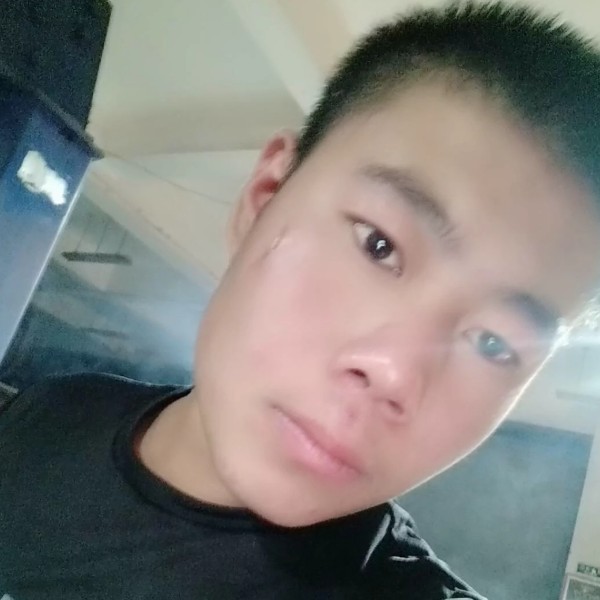 老虎向强健的照片