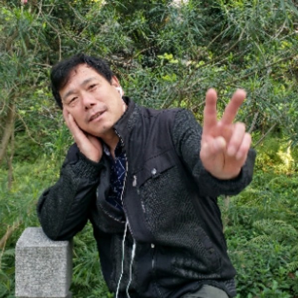 斑马飘逸的照片