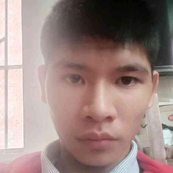 金毛还精明的照片