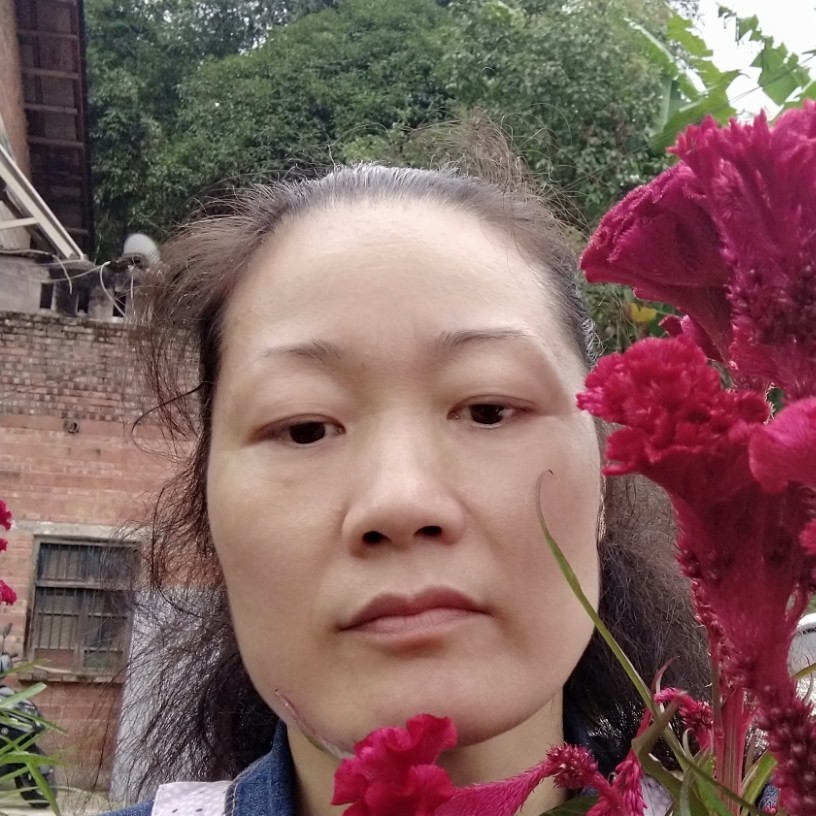 孤芳自赏33的照片