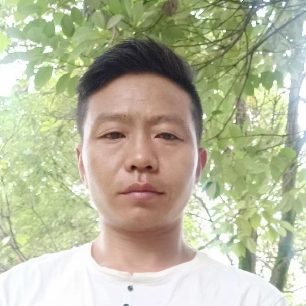 水蜜桃可爱的照片