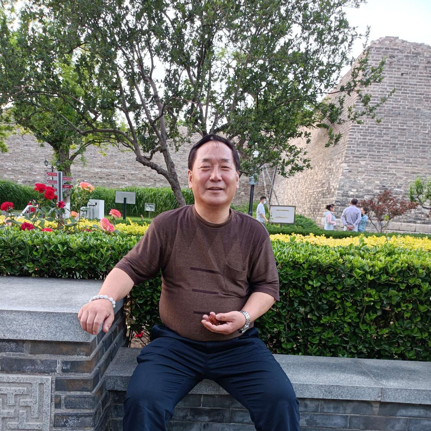 幸福用河马的照片