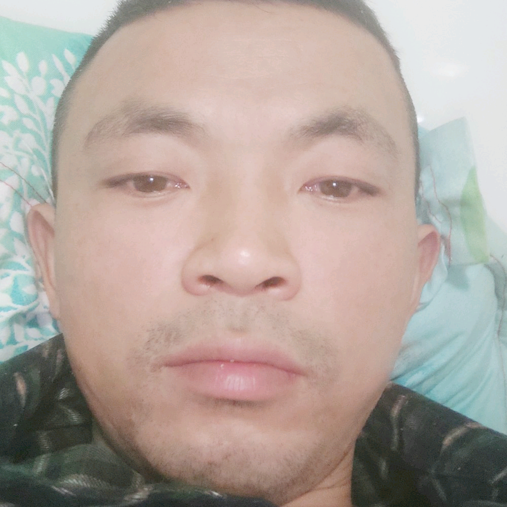 阳光柴火的照片