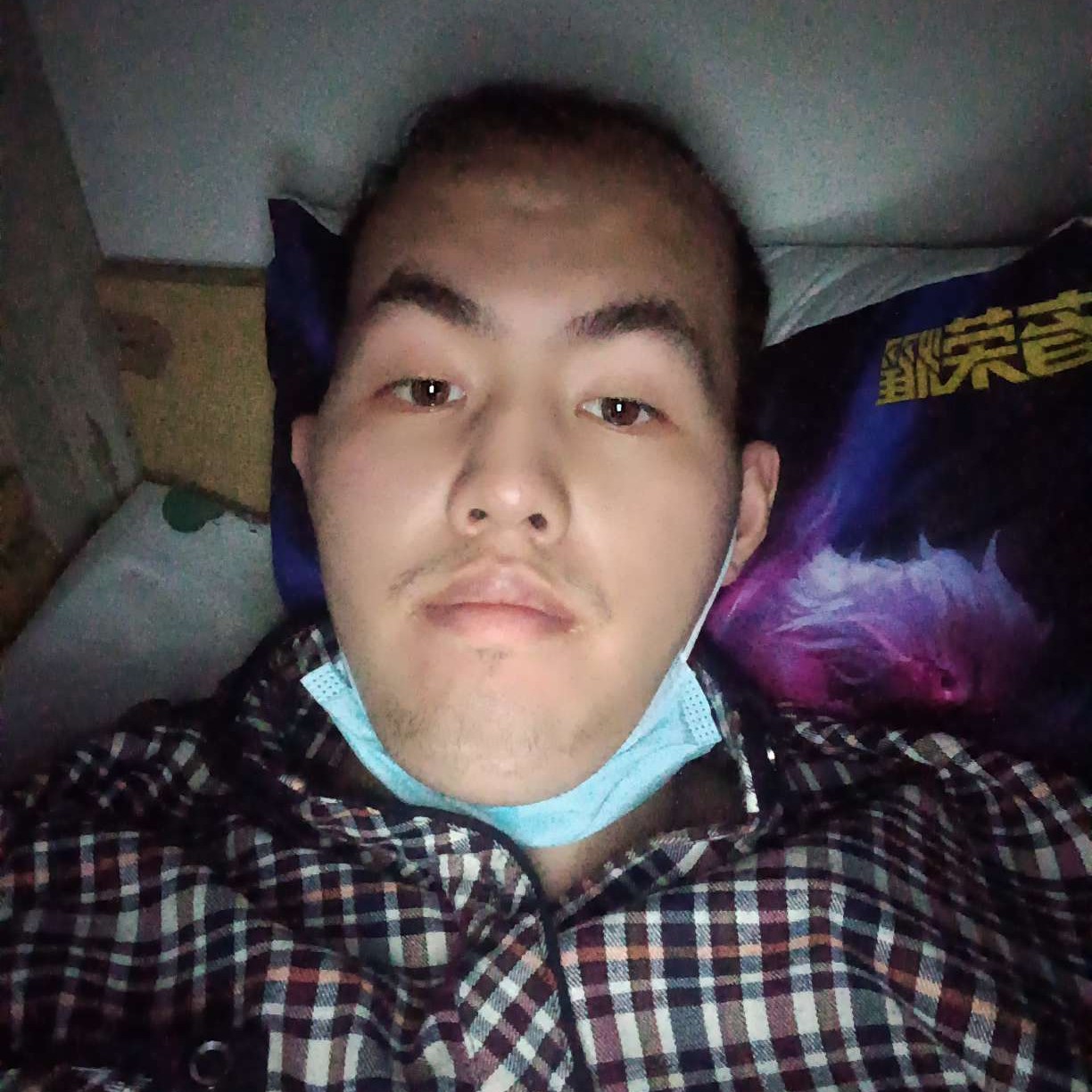 俊秀就长颈鹿的照片