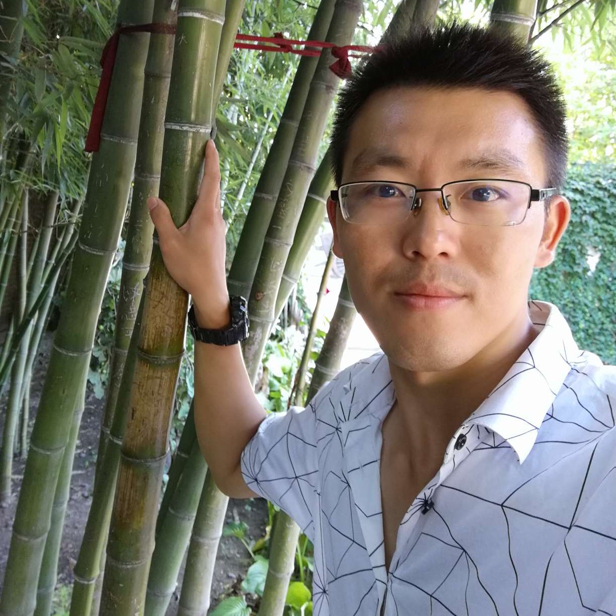 西游非鱼的照片