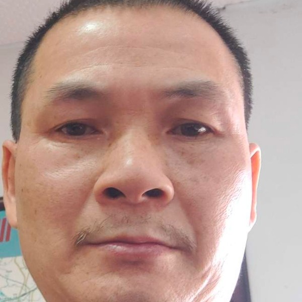 小海豚从容的照片