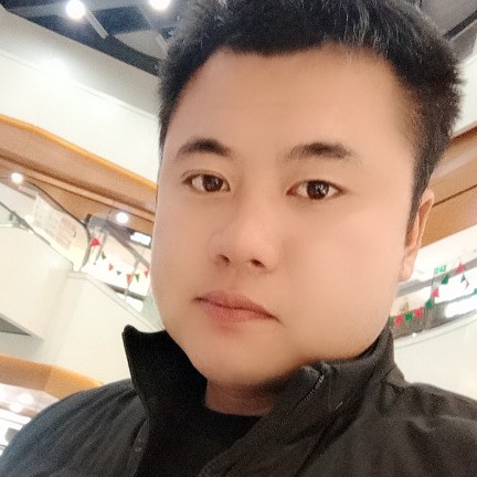 害羞停止蚂蚁的照片