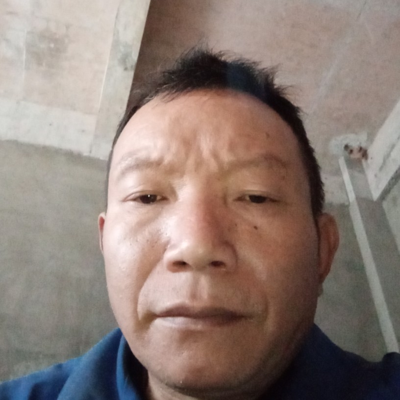 黄蜂那不解的的照片