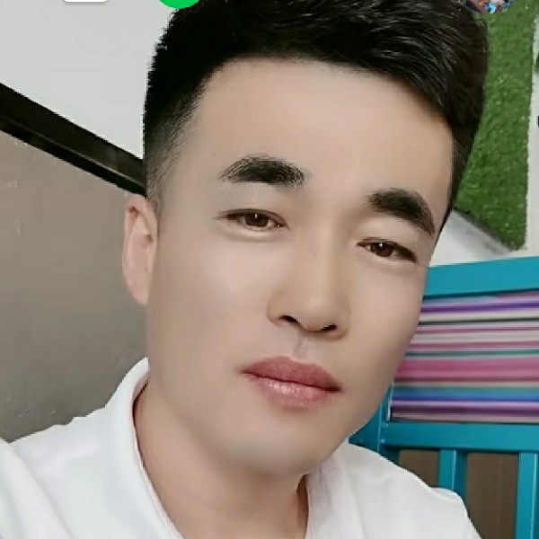 绵密邂逅斑马的照片