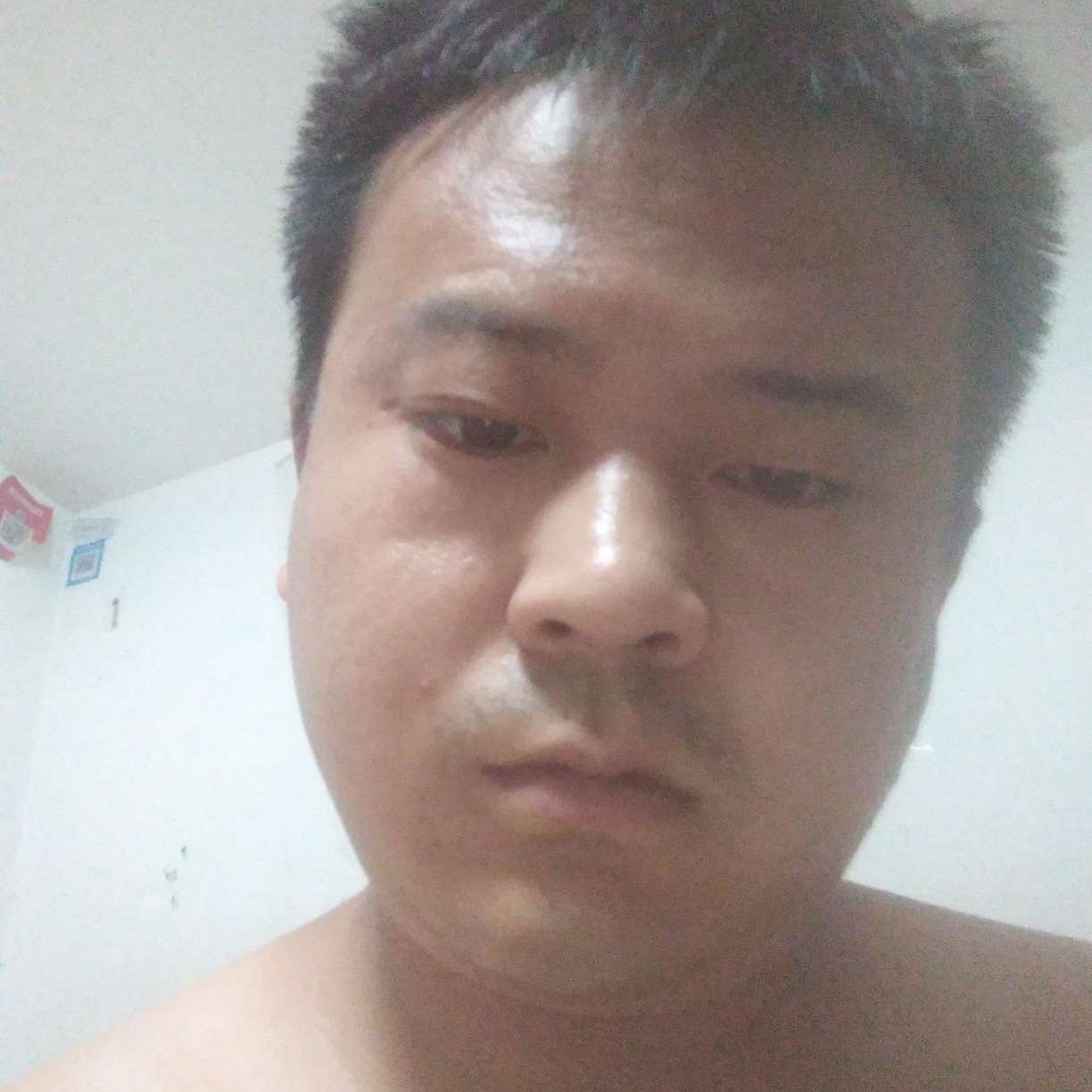 大雁与威武的照片