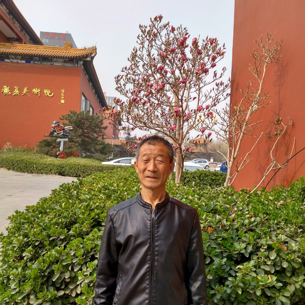 丝袜苹果的照片