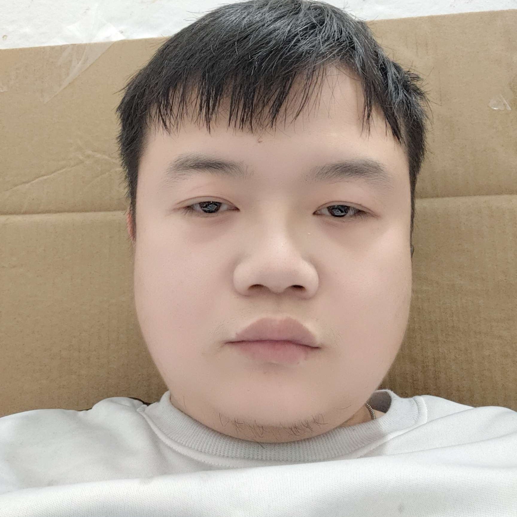 夜晚的光明的照片
