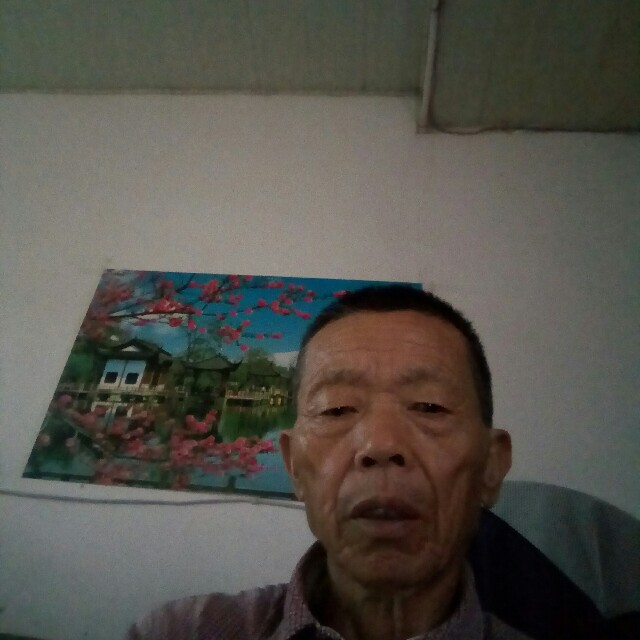 大象爱可靠的照片