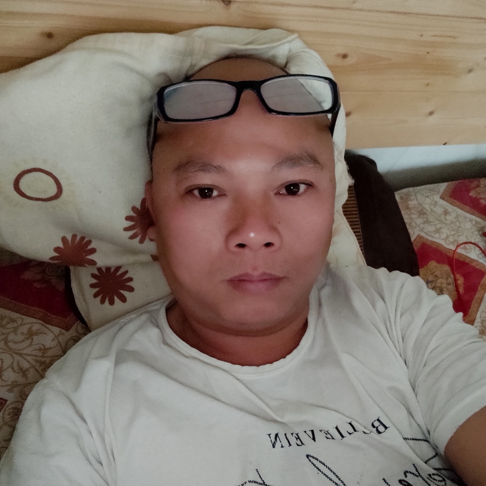 暧昧漫步狗的照片