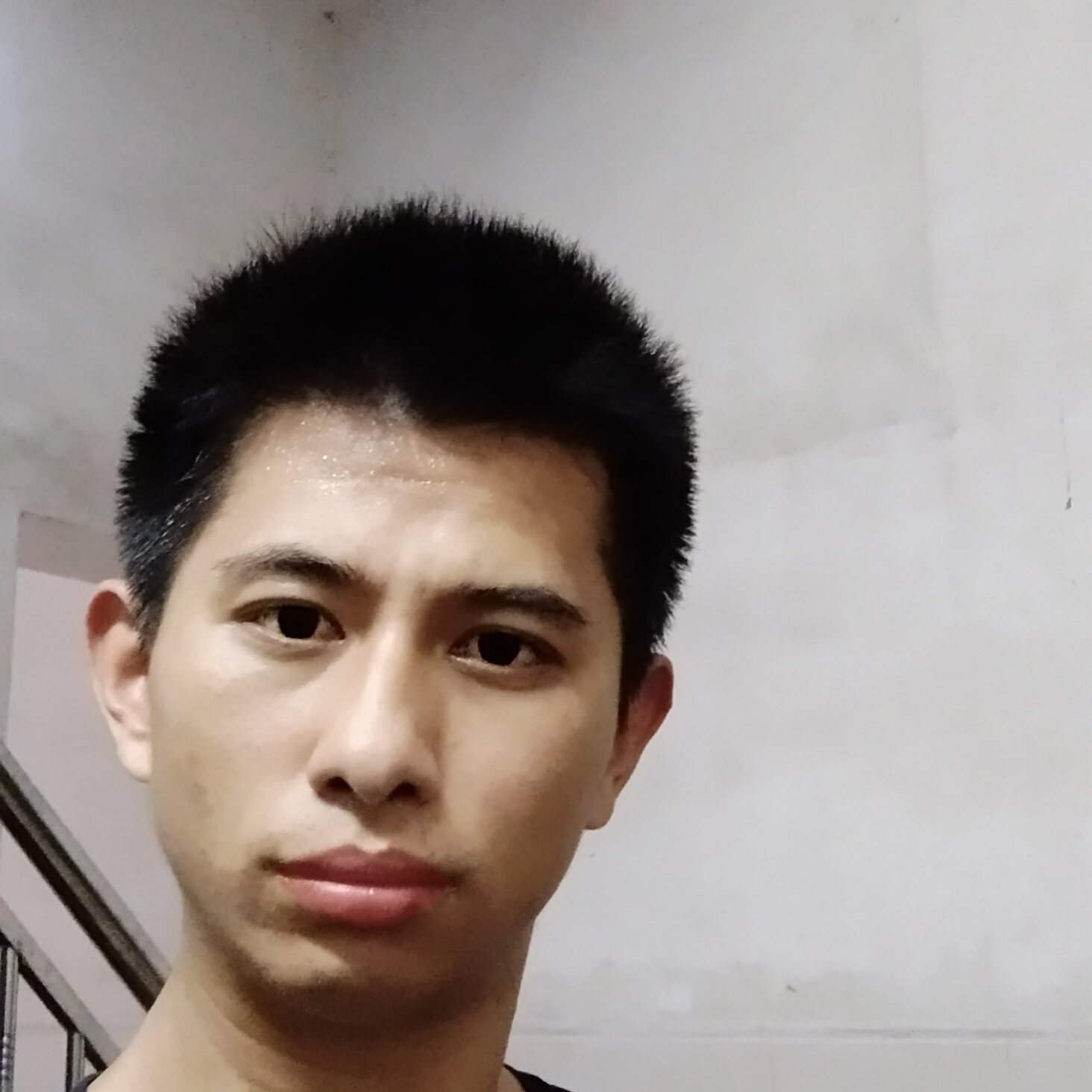 花瓣就光亮256的照片