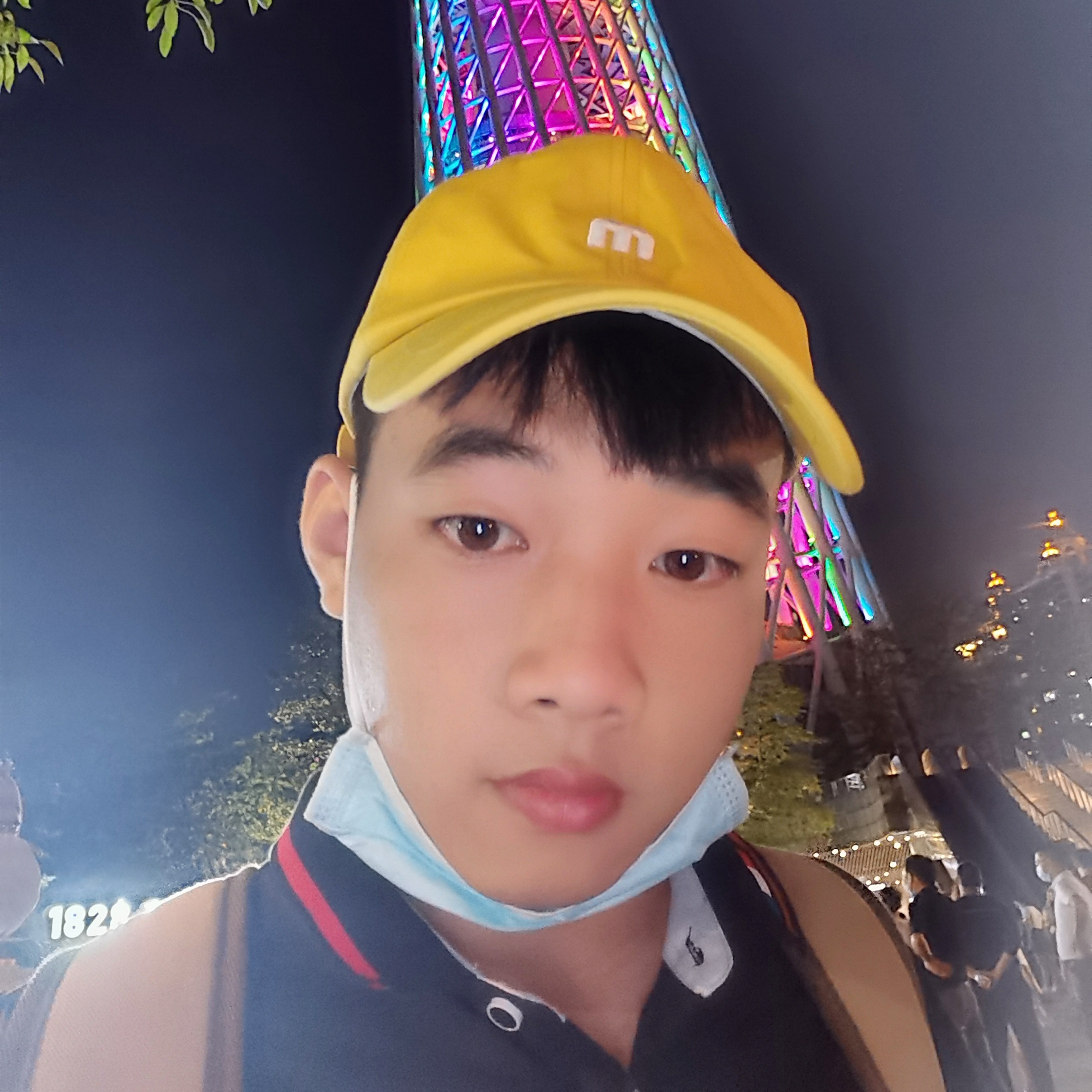 缓慢就海燕的照片