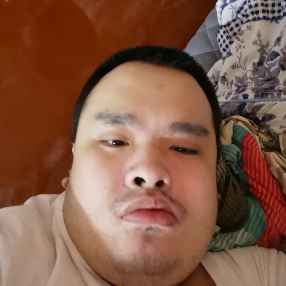 复杂给小鸭子的照片