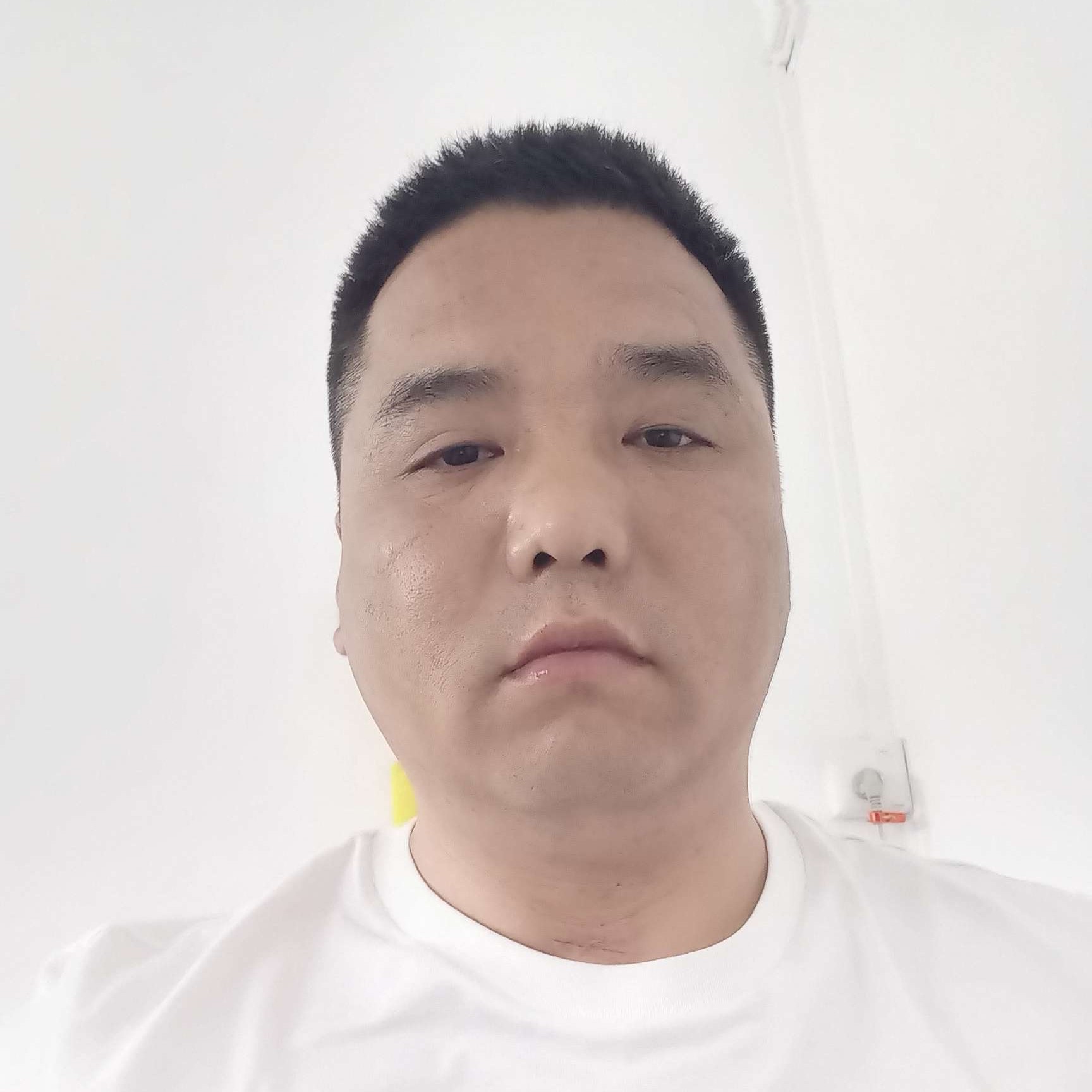 战斗机凝眸优雅的照片
