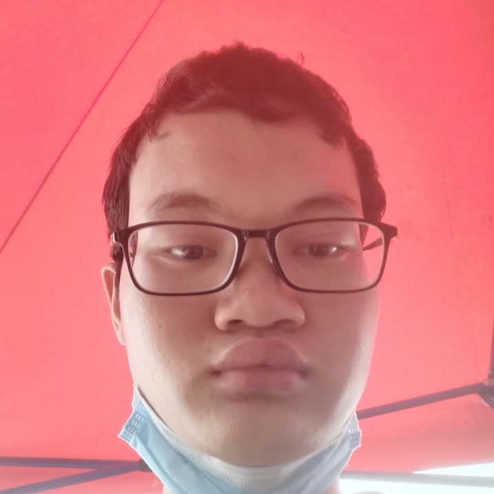 太阳漫步饱满的照片