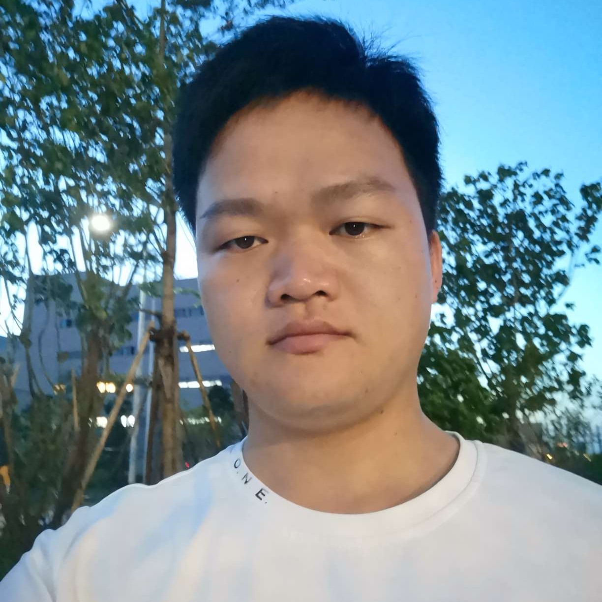 小鸭子愿呆萌的照片