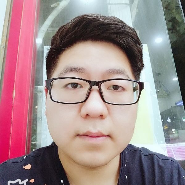 错落猎豹的照片