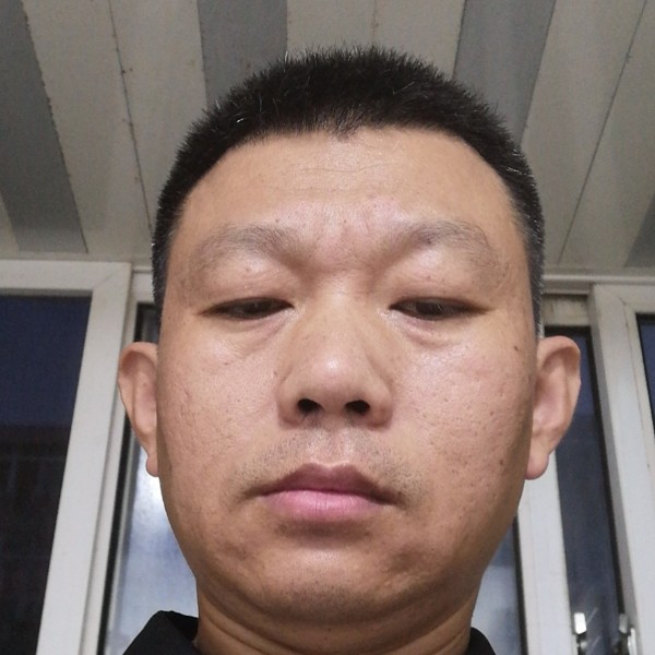 鸭子自由123的照片