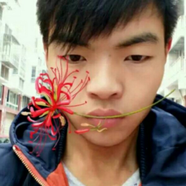 许你一世柔情12的照片