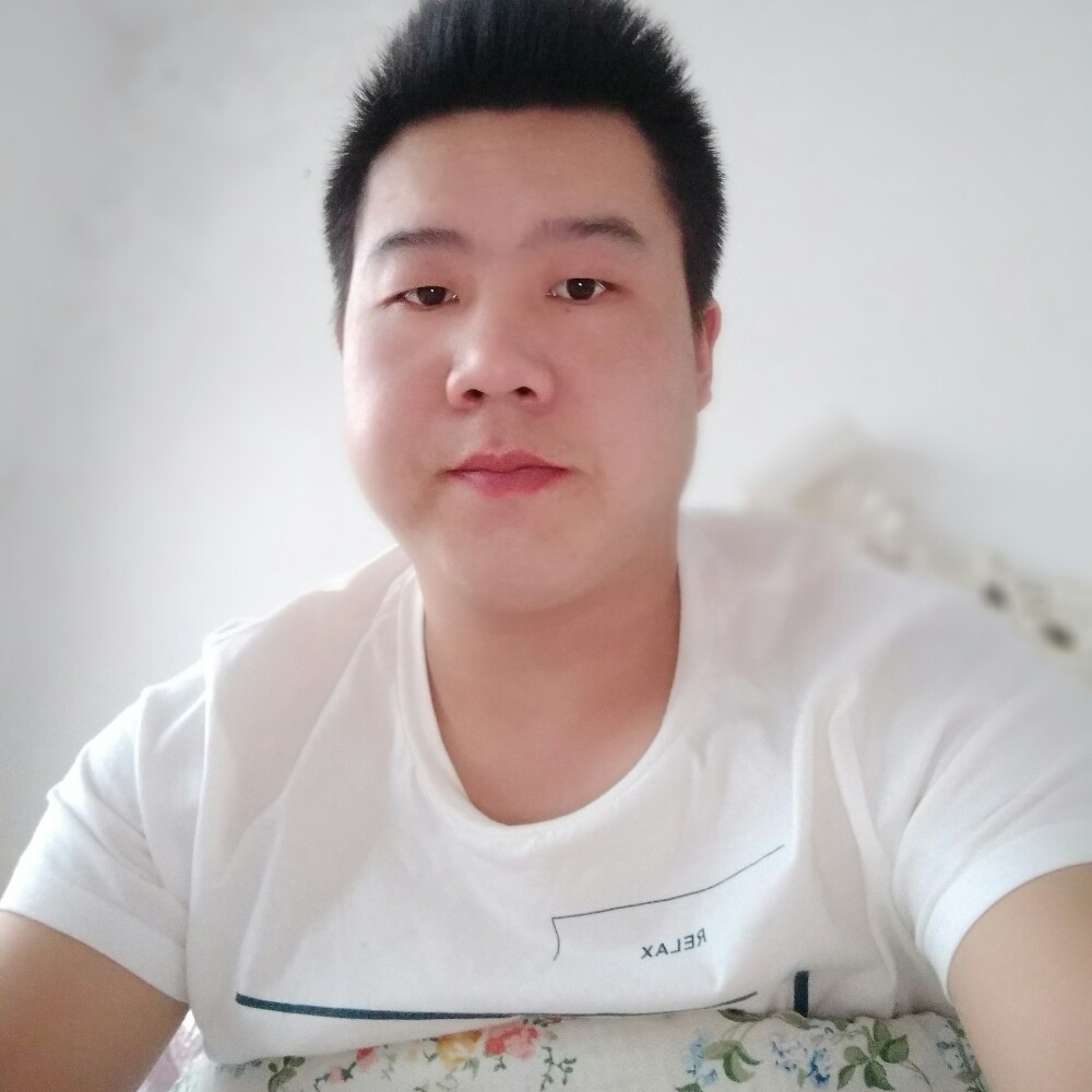 认真小蚂蚁的照片