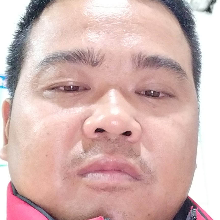 大树孤独的照片