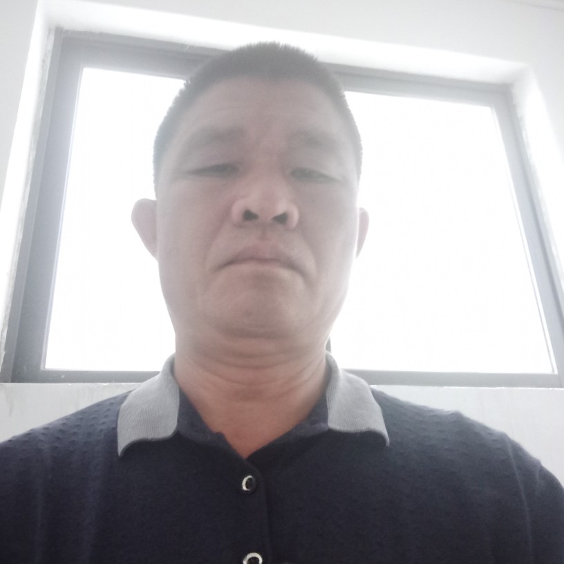 伤心的狼。的照片