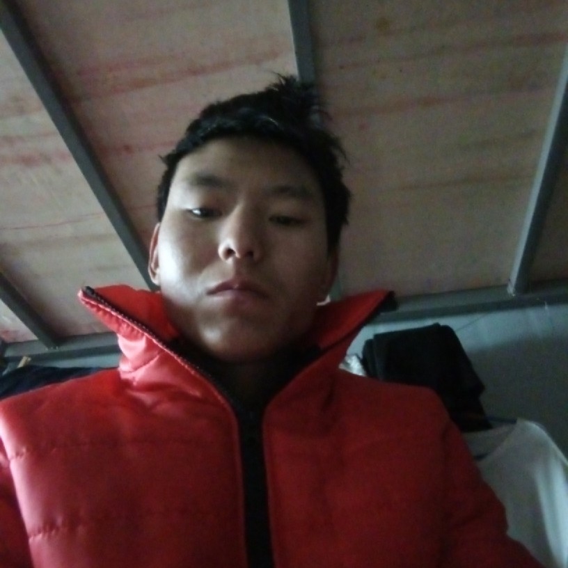 缓慢用母鸡的照片