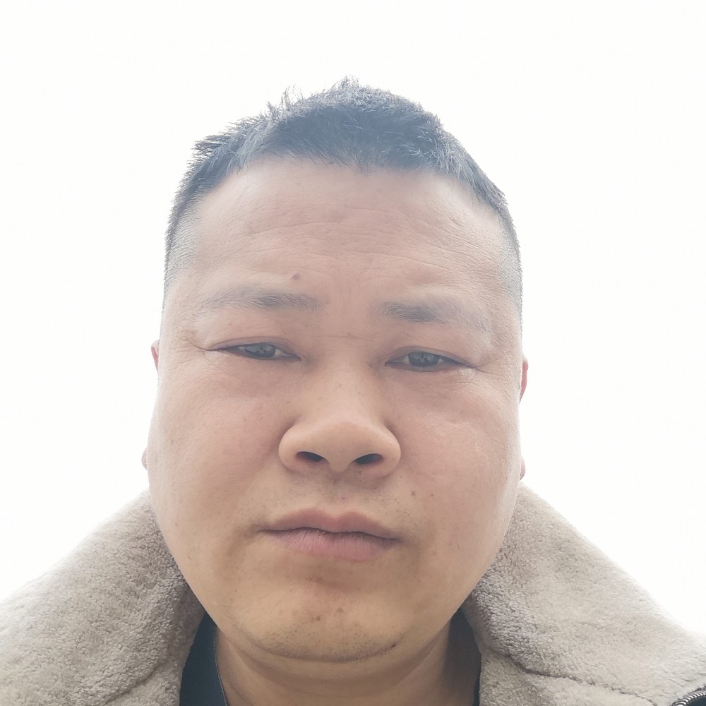 冷风还沉默的照片
