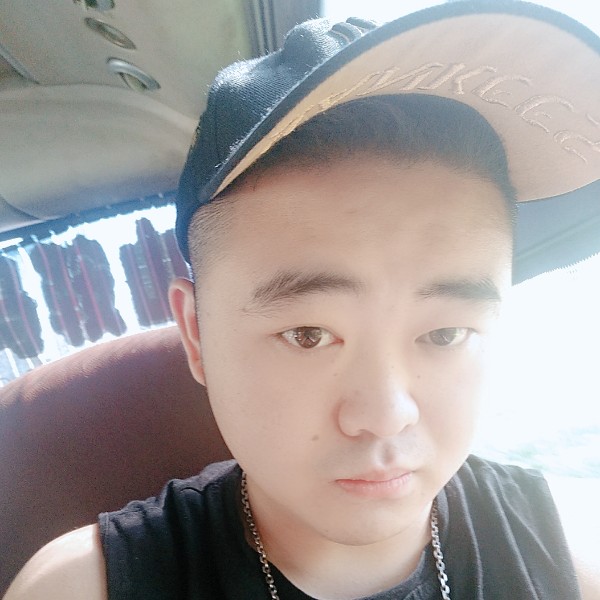 激昂野狼的照片