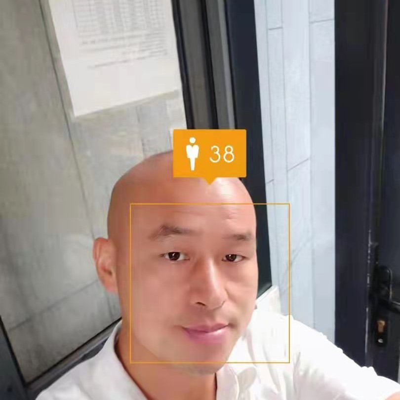 笑点低浅吻树叶的照片