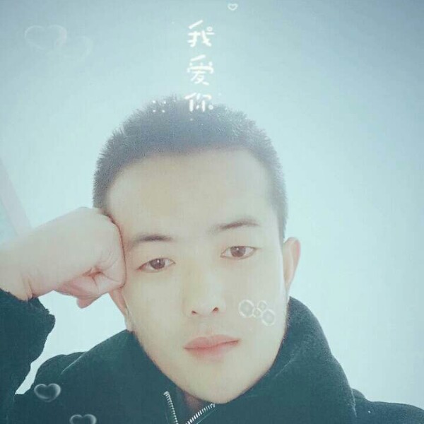 长颈鹿隐忍的照片