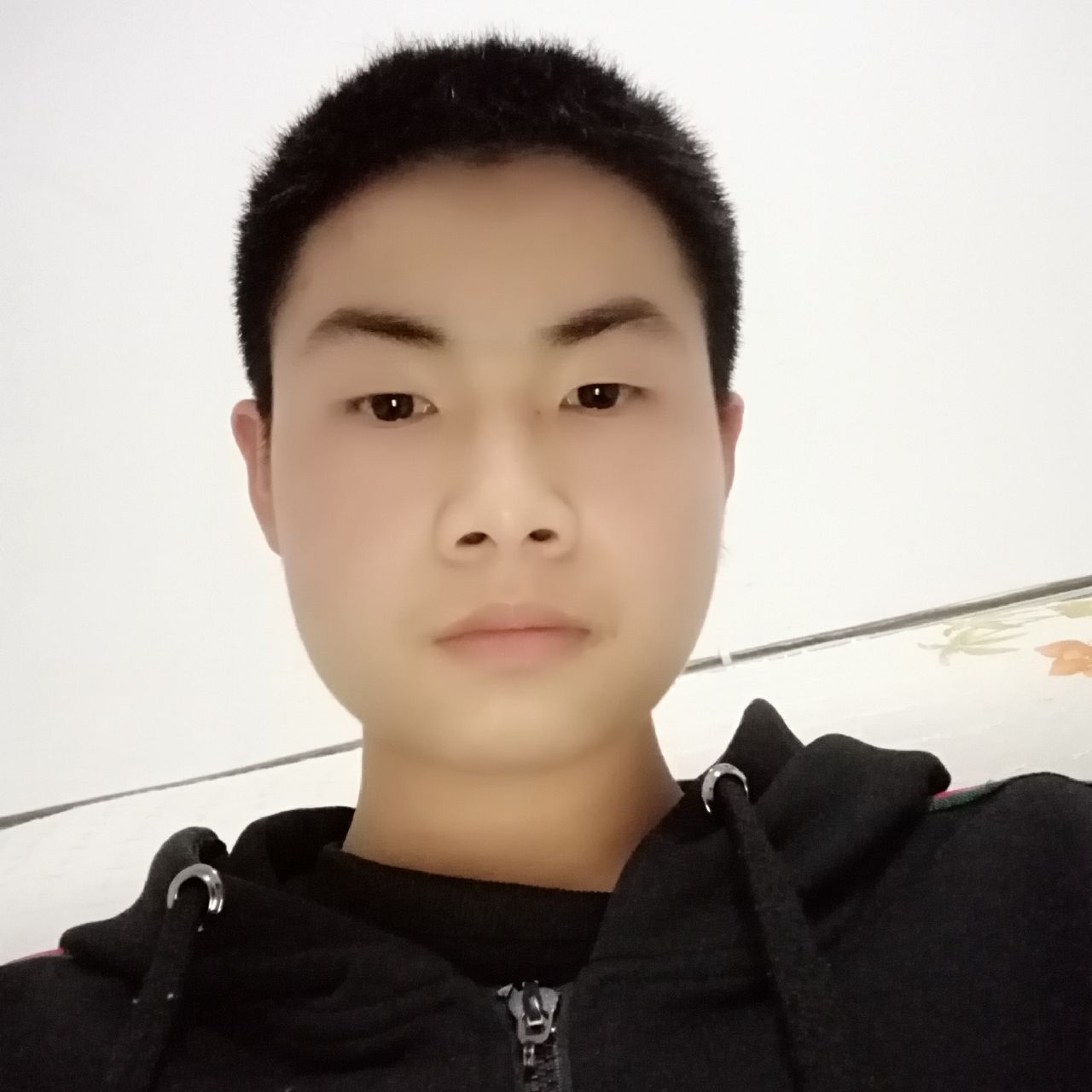 壮观给哈密瓜的照片