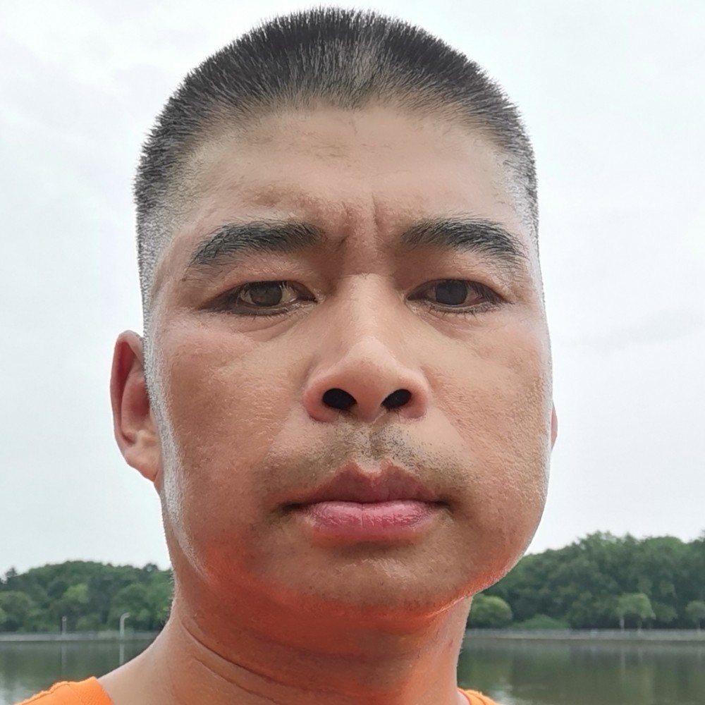 大雁纯真的照片