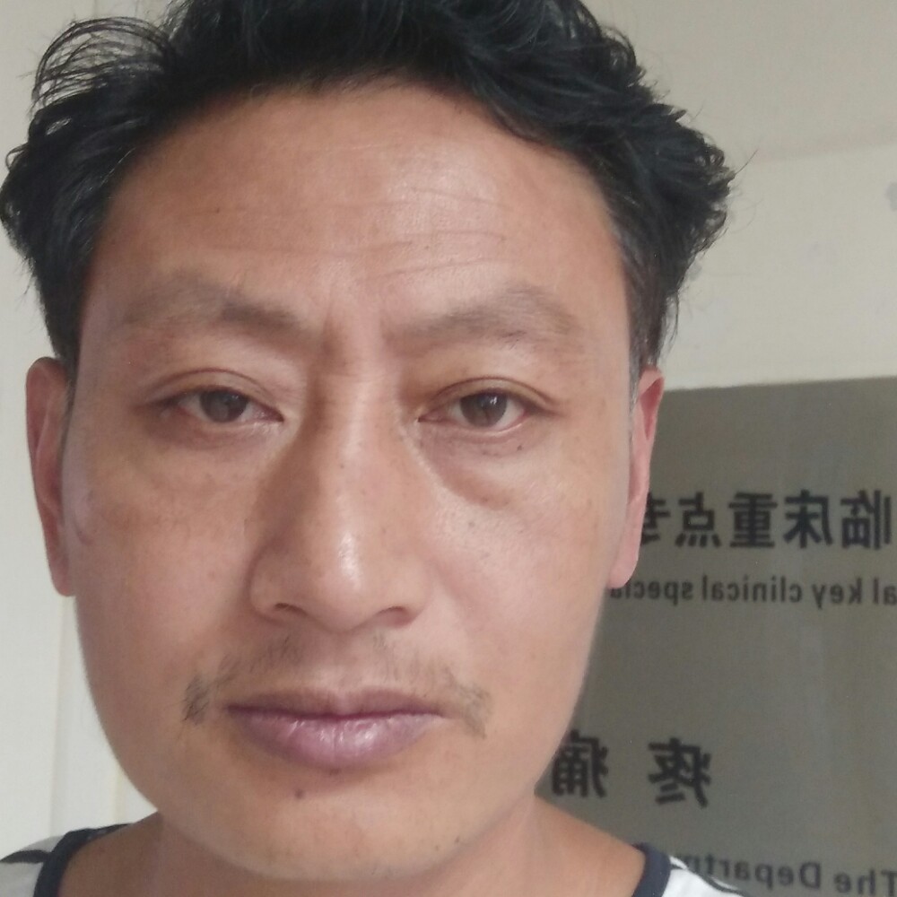 文,的照片