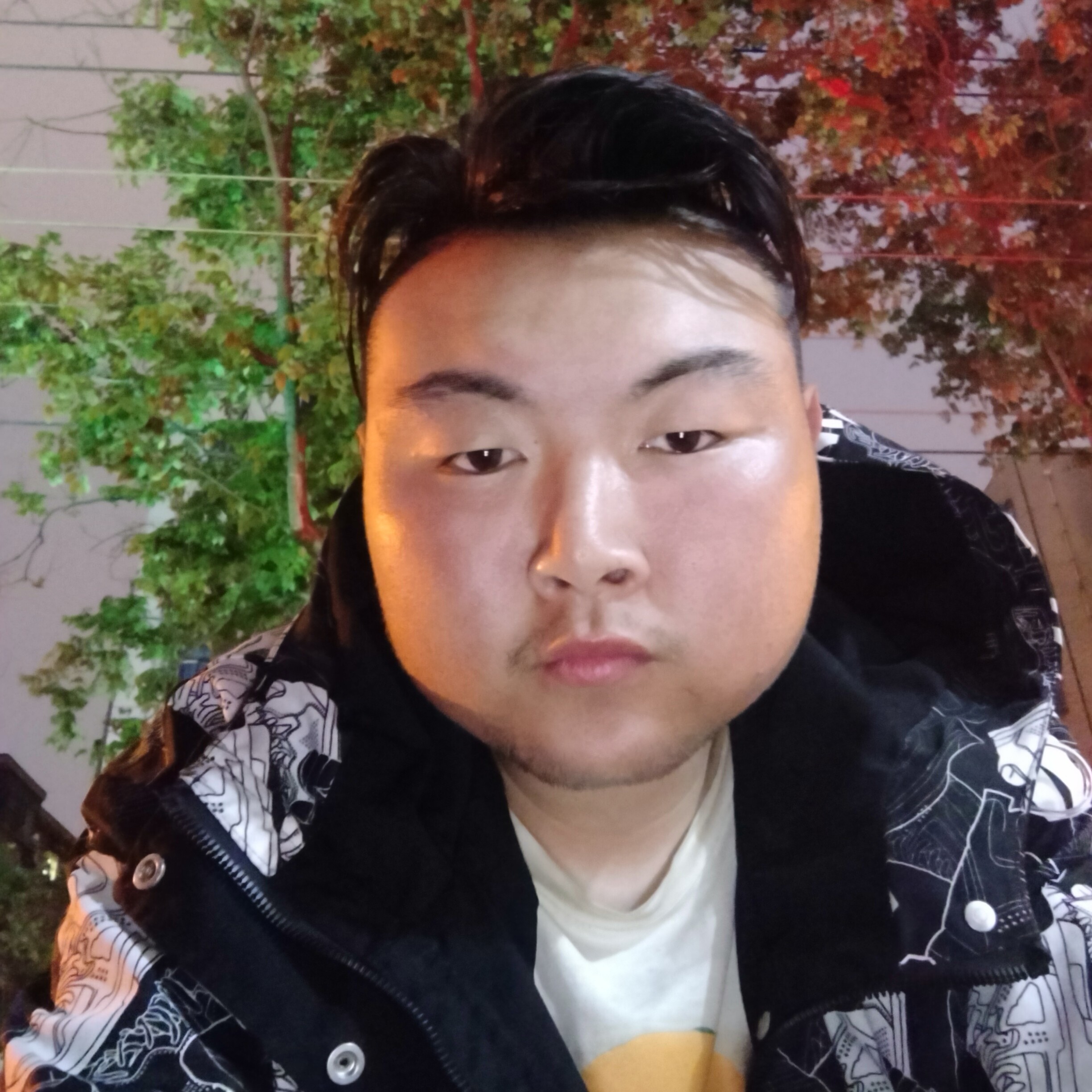 光亮多么流年的照片