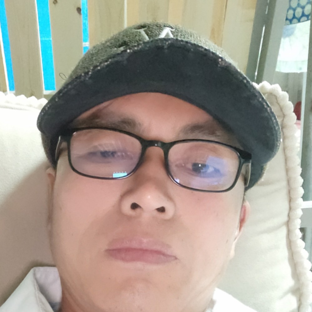 大漠惊魂的孤雁的照片