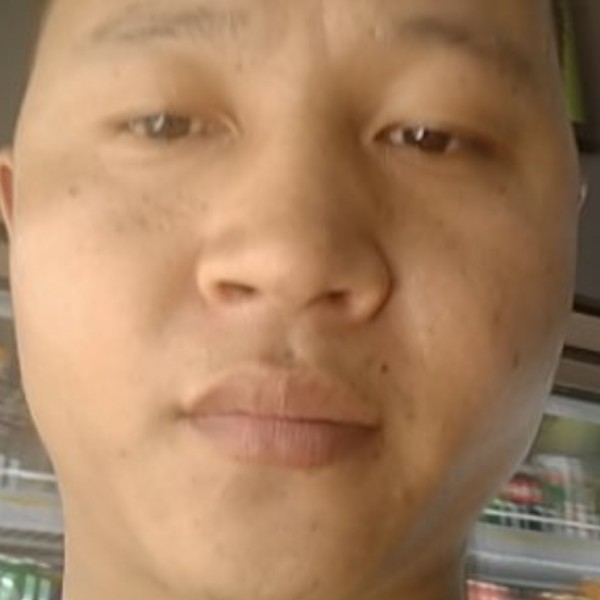 幽默拾忆小鸭子的照片