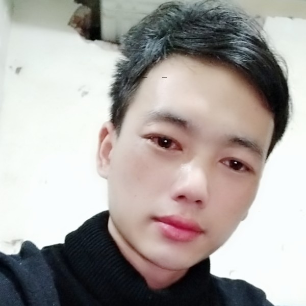 恬静树叶的照片