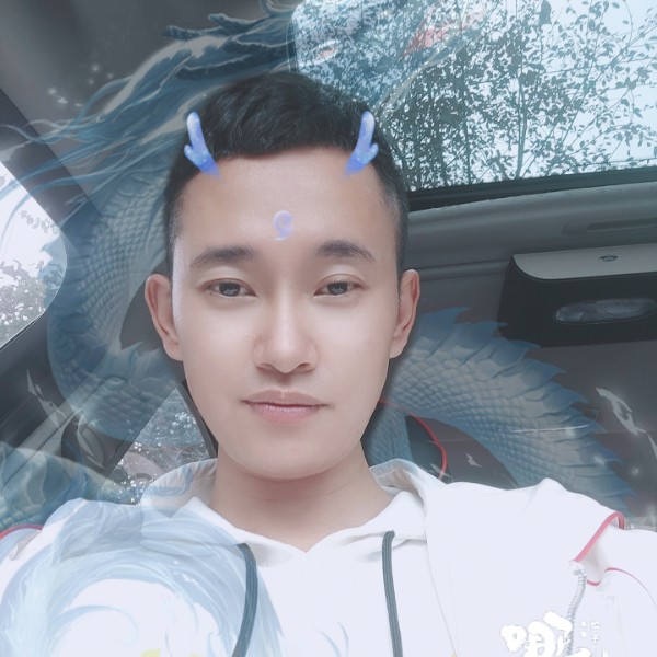 钢笔浅吻单纯的照片