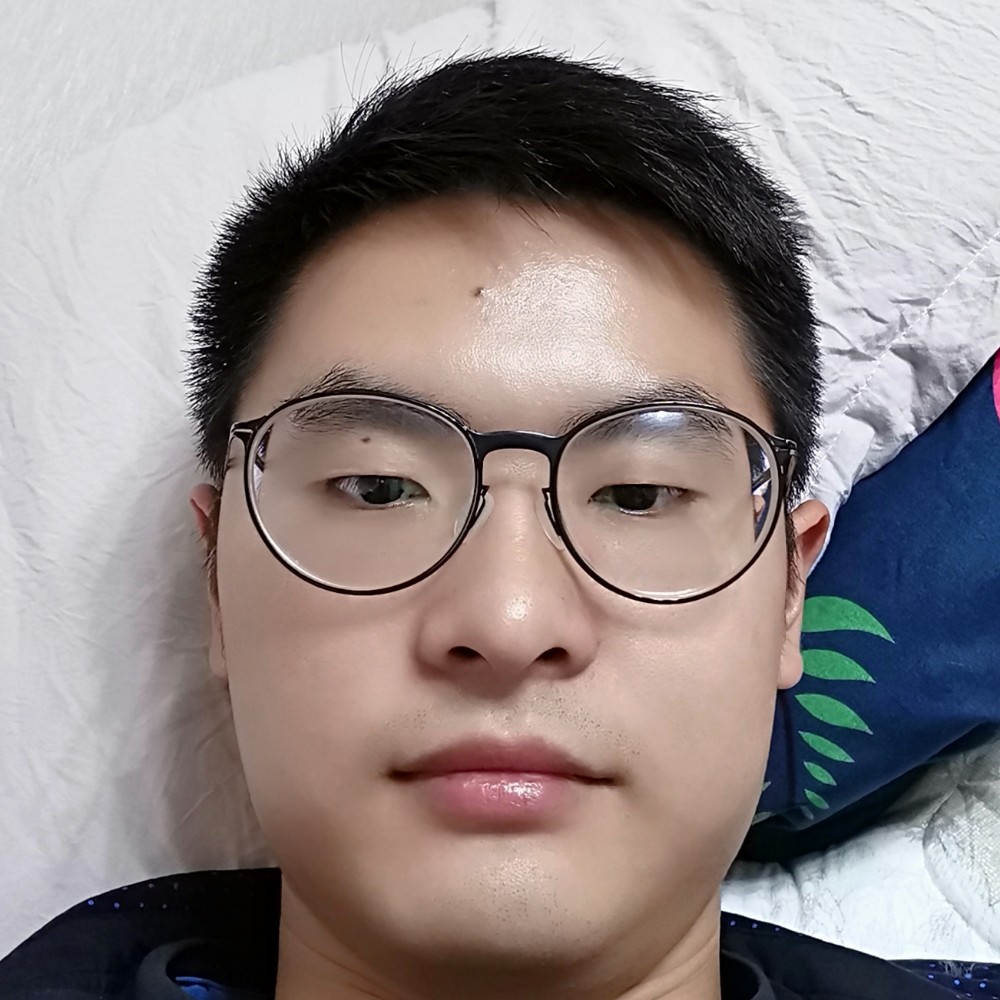 大力—红玫瑰的照片