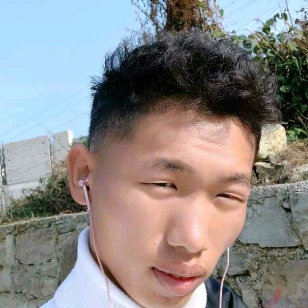 麦片虚幻的照片