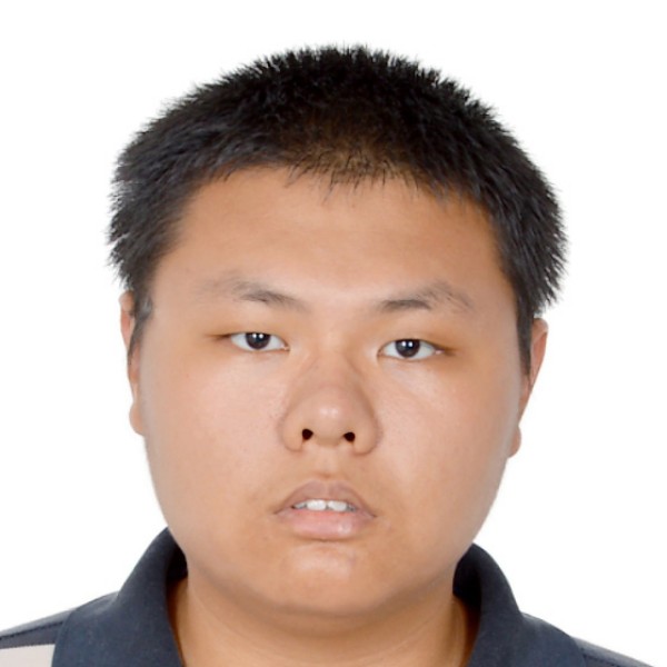 纸鹤尊敬的照片