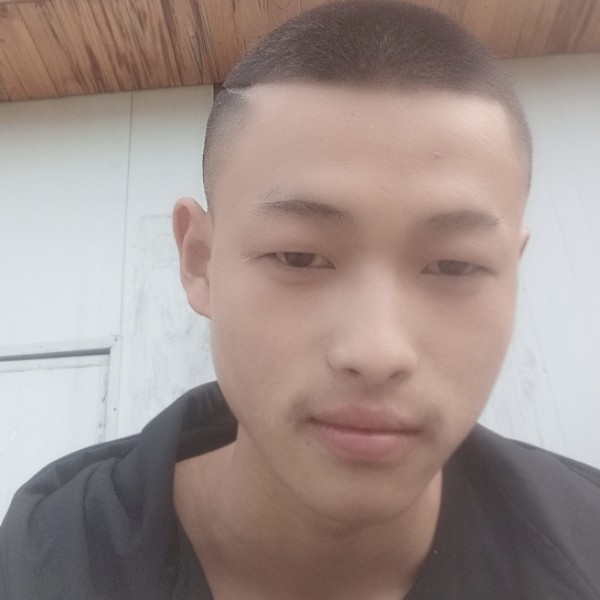 B  Z  R的照片