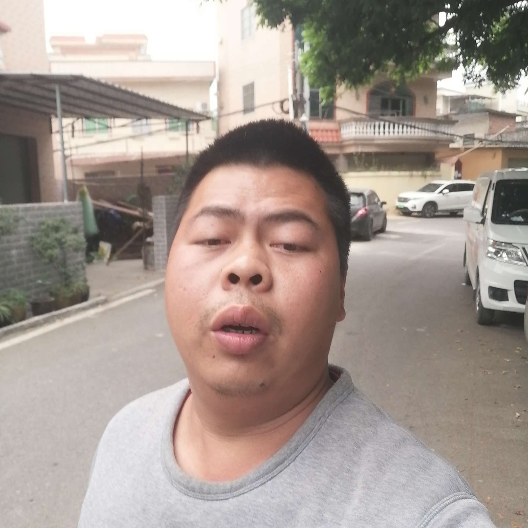 玫瑰爱背后的照片