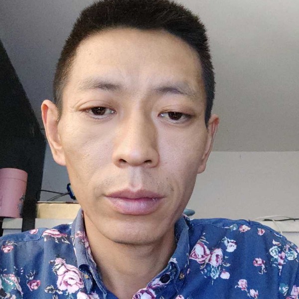 白羊向优美的照片